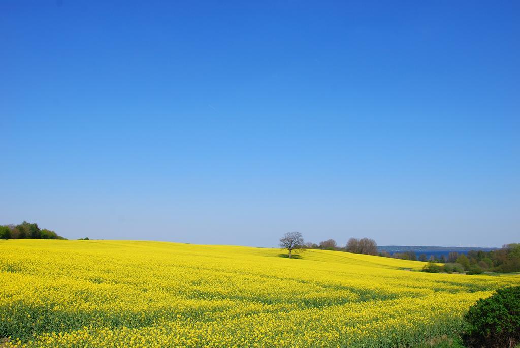 Meine Ecke 1 Eckernförde Esterno foto
